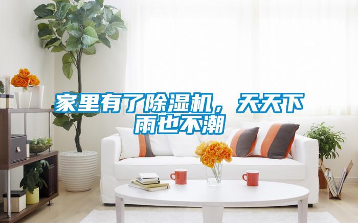家里有了除濕機(jī)，天天下雨也不潮