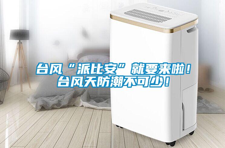 臺風“派比安”就要來啦！臺風天防潮不可少！