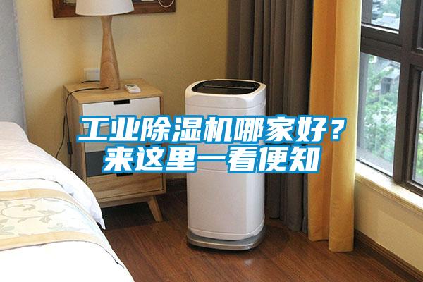 工業除濕機哪家好？來這里一看便知