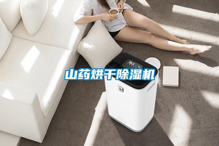 山藥烘干除濕機