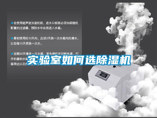 實驗室如何選除濕機