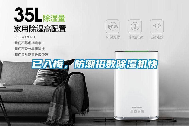 已入梅，防潮招數(shù)除濕機快