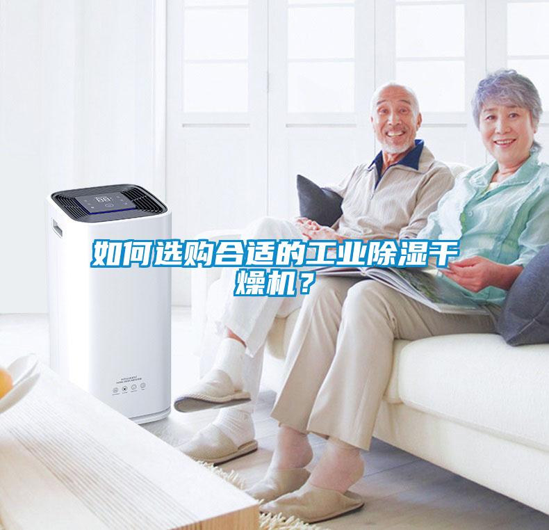 如何選購合適的工業除濕干燥機？