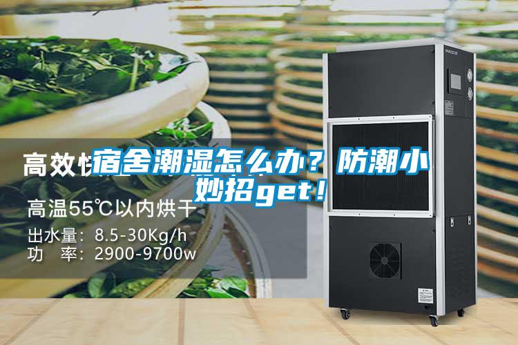 宿舍潮濕怎么辦？防潮小妙招get！