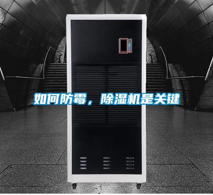 如何防霉，除濕機是關鍵