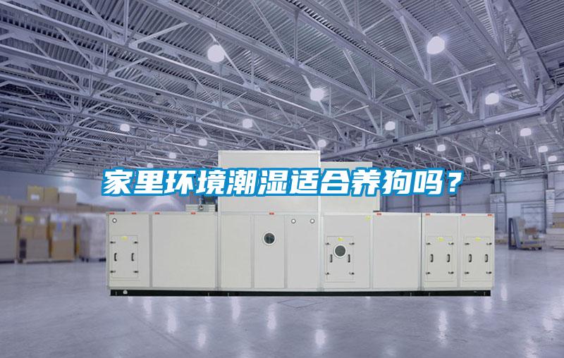 家里環境潮濕適合養狗嗎？