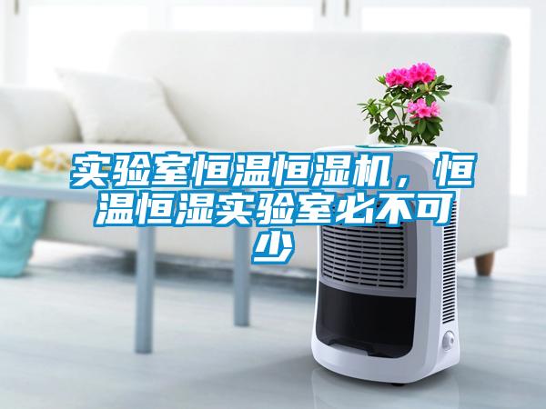 實(shí)驗(yàn)室恒溫恒濕機(jī)，恒溫恒濕實(shí)驗(yàn)室必不可少