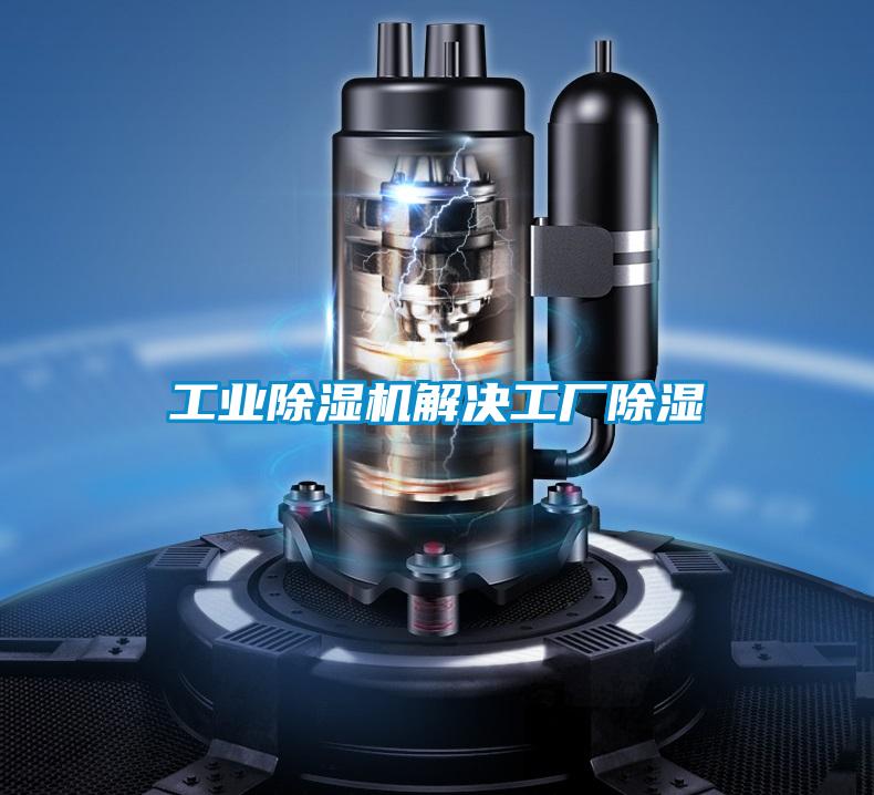 工業(yè)除濕機解決工廠除濕