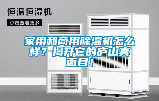 家用和商用除濕機(jī)怎么樣？揭開它的廬山真面目！