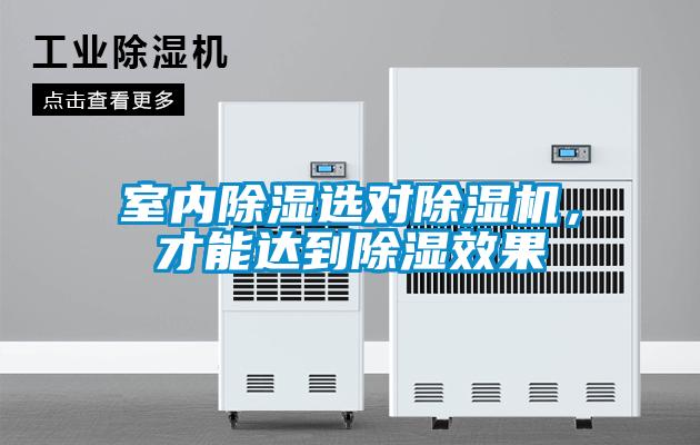 室內除濕選對除濕機，才能達到除濕效果