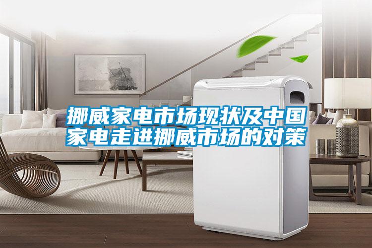 挪威家電市場現狀及中國家電走進挪威市場的對策
