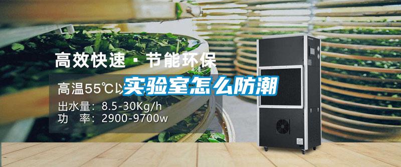 實(shí)驗(yàn)室怎么防潮