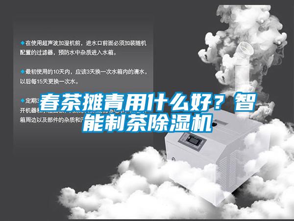 春茶攤青用什么好？智能制茶除濕機