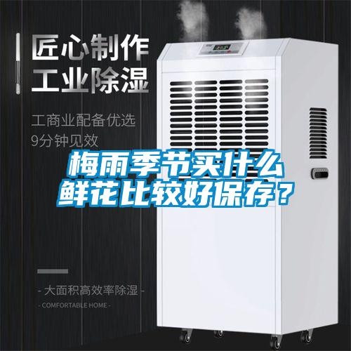 梅雨季節買什么鮮花比較好保存？
