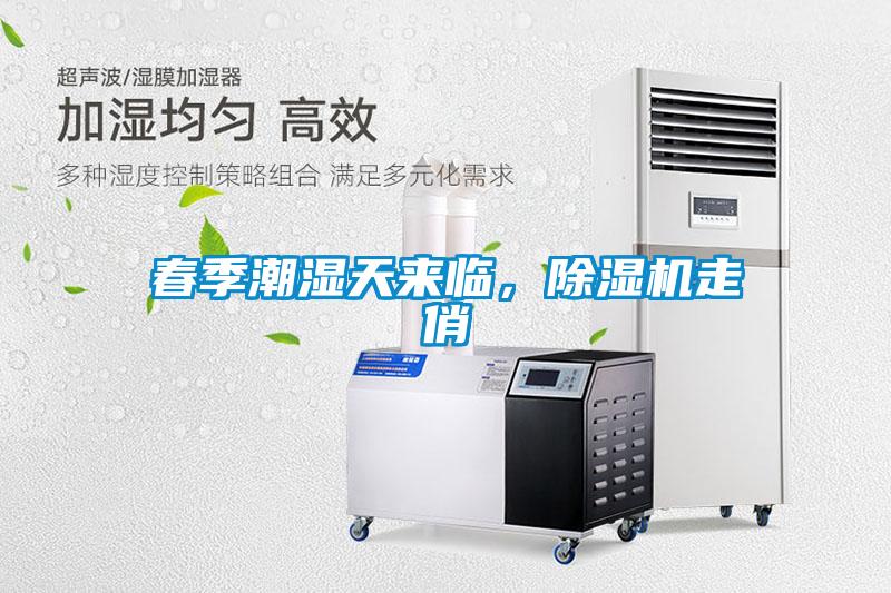 春季潮濕天來臨，除濕機(jī)走俏
