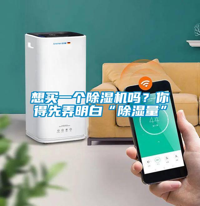 想買一個除濕機嗎？你得先弄明白“除濕量”