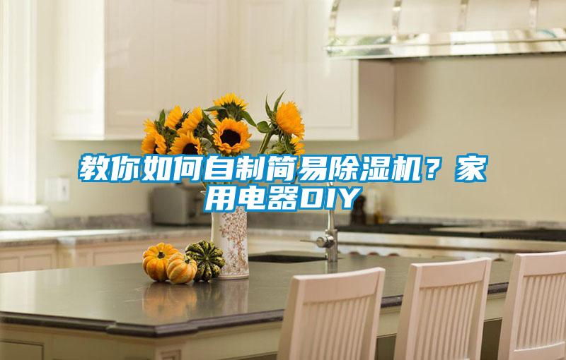 教你如何自制簡易除濕機？家用電器DIY