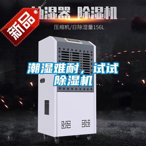 潮濕難耐，試試除濕機