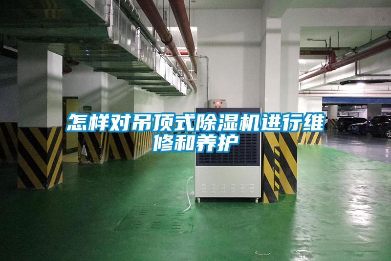 怎樣對吊頂式除濕機進行維修和養護