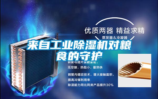 來自工業(yè)除濕機對糧食的守護