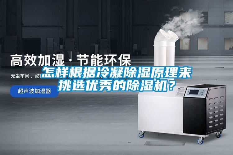 怎樣根據冷凝除濕原理來挑選優秀的除濕機？
