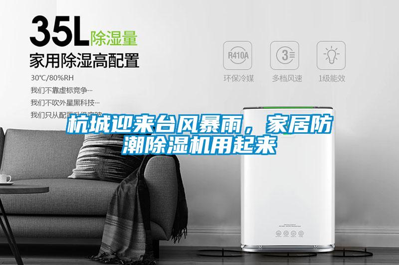 杭城迎來臺風暴雨，家居防潮除濕機用起來