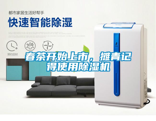 春茶開始上市，攤青記得使用除濕機