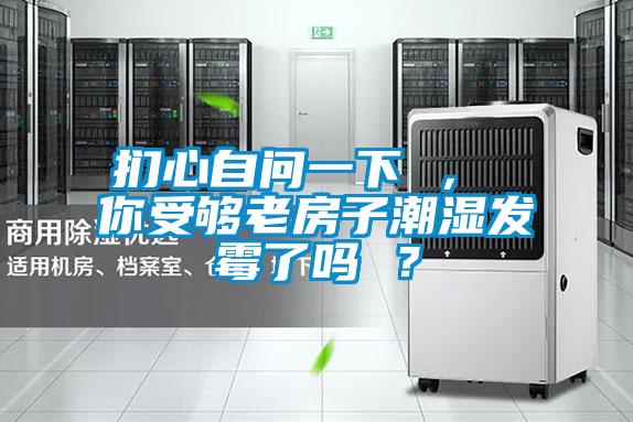 捫心自問一下 ， 你受夠老房子潮濕發(fā)霉了嗎 ？