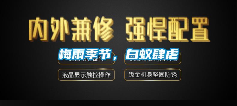 梅雨季節，白蟻肆虐