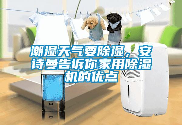潮濕天氣要除濕，安詩(shī)曼告訴你家用除濕機(jī)的優(yōu)點(diǎn)