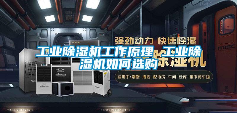 工業除濕機工作原理 工業除濕機如何選購