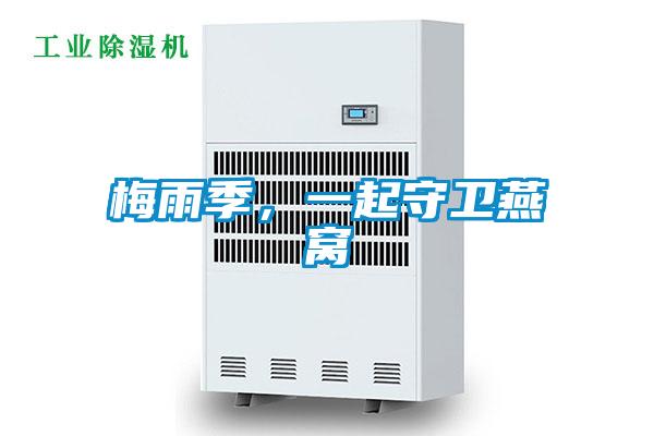 梅雨季，一起守衛燕窩