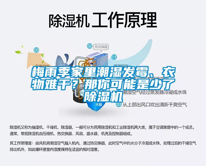 梅雨季家里潮濕發霉、衣物難干？那你可能是少了除濕機