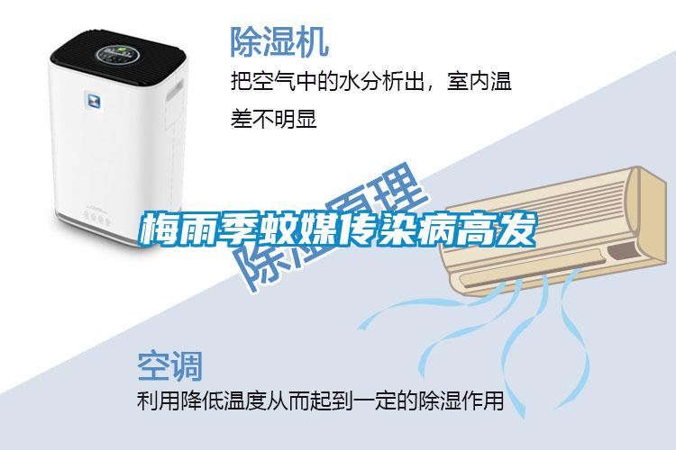 梅雨季蚊媒傳染病高發