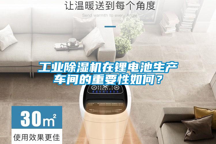 工業(yè)除濕機在鋰電池生產(chǎn)車間的重要性如何？