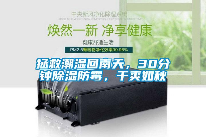 拯救潮濕回南天，30分鐘除濕防霉，干爽如秋