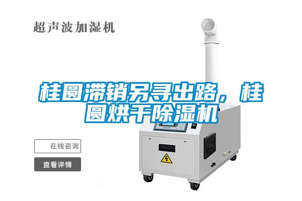 桂圓滯銷另尋出路，桂圓烘干除濕機