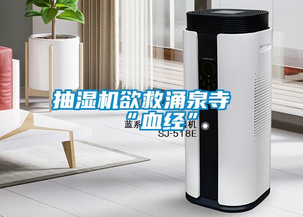 抽濕機欲救涌泉寺“血經”