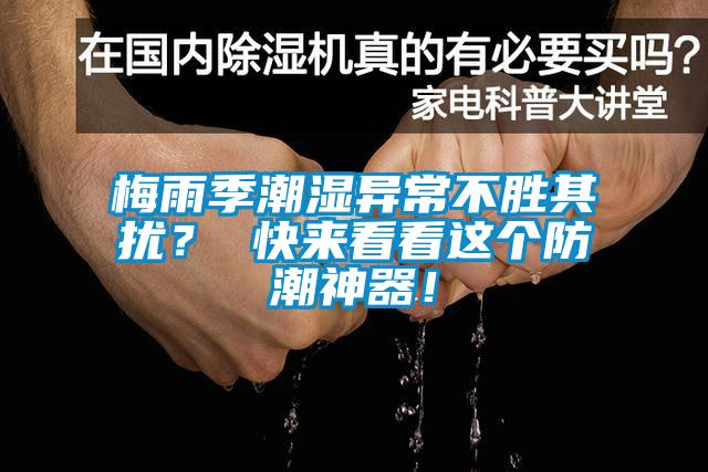 梅雨季潮濕異常不勝其擾？ 快來(lái)看看這個(gè)防潮神器！