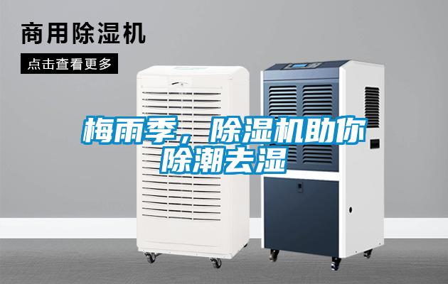 梅雨季，除濕機助你除潮去濕