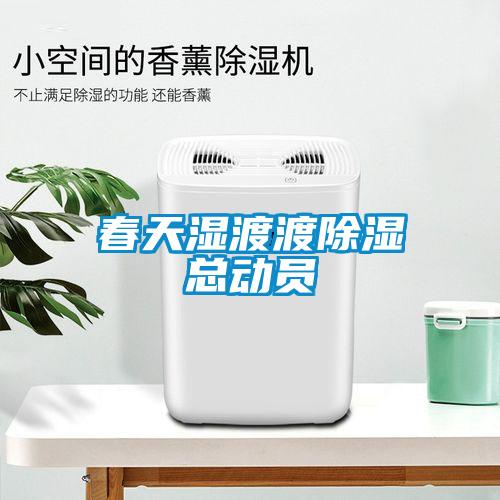 春天濕渡渡除濕總動(dòng)員