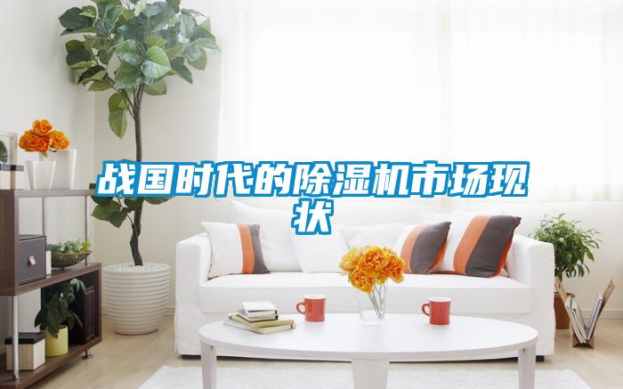 戰(zhàn)國(guó)時(shí)代的除濕機(jī)市場(chǎng)現(xiàn)狀