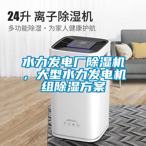 水力發電廠除濕機，大型水力發電機組除濕方案