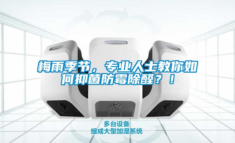梅雨季節，專業人士教你如何抑菌防霉除醛？！