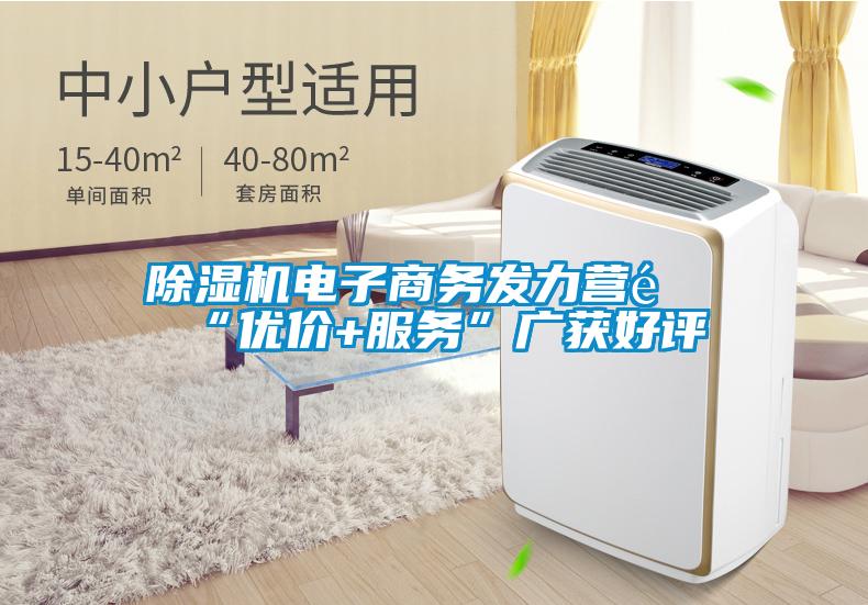 除濕機電子商務發力營銷“優價+服務”廣獲好評