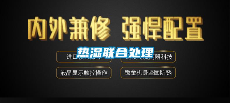 熱濕聯合處理