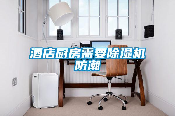 酒店廚房需要除濕機(jī)防潮