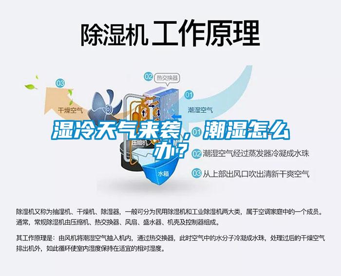 濕冷天氣來襲，潮濕怎么辦？