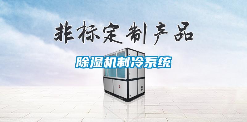 除濕機(jī)制冷系統(tǒng)