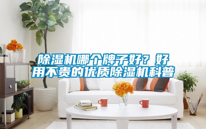 除濕機哪個牌子好？好用不貴的優質除濕機科普